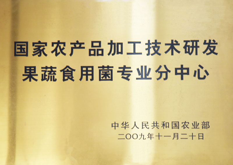 NG大舞台-有梦你就来 -致力于新媒体舞台视觉艺术创作整案服务