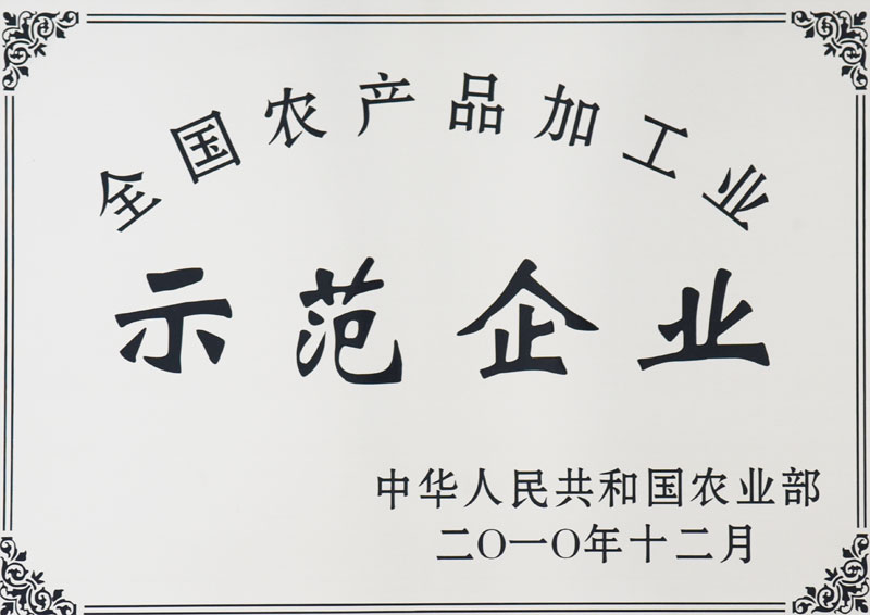 NG大舞台-有梦你就来 -致力于新媒体舞台视觉艺术创作整案服务
