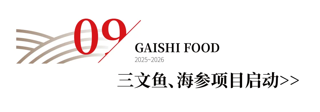 NG大舞台-有梦你就来 -致力于新媒体舞台视觉艺术创作整案服务