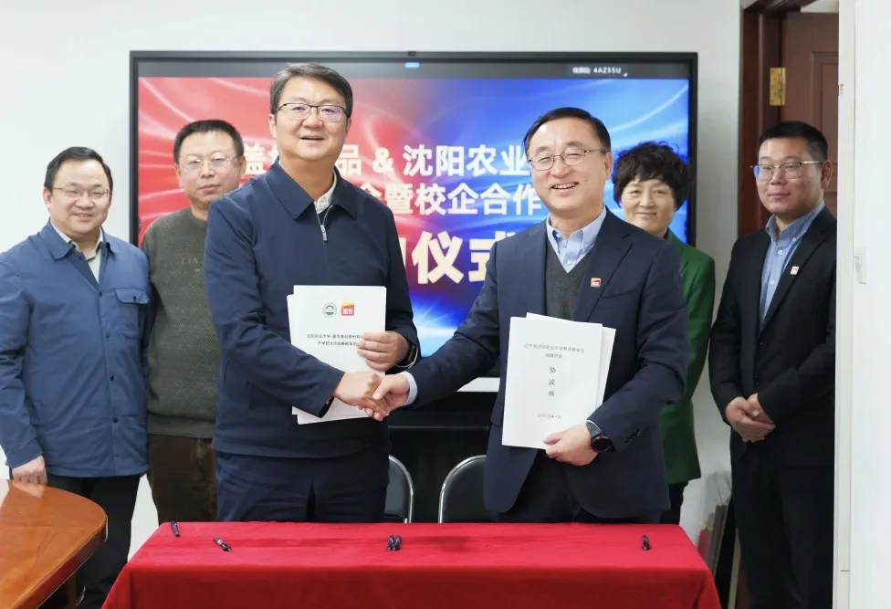NG大舞台-有梦你就来 -致力于新媒体舞台视觉艺术创作整案服务